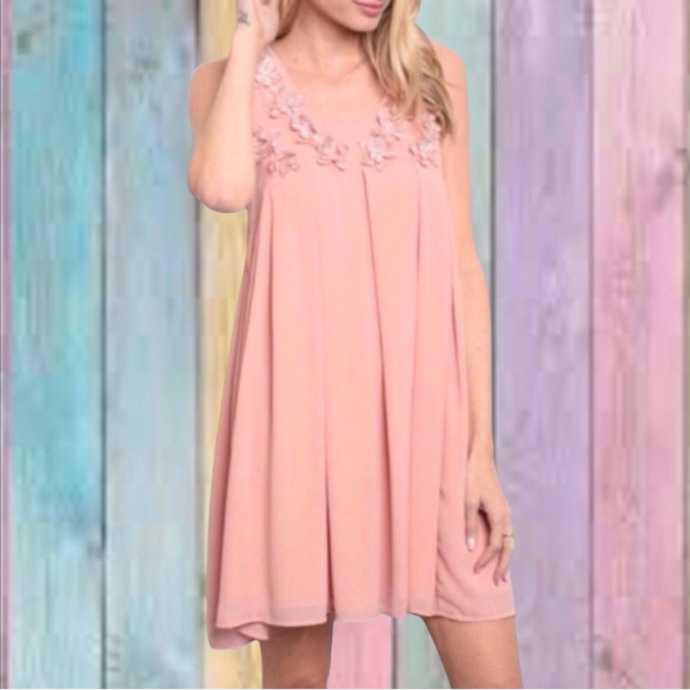 Strut & Bolt Blush Pink Lined Appliqué Floral Babydoll Dress NWT